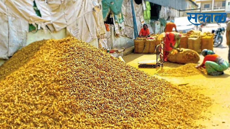 हळद पोचली ९ हजारांवर; मजबूत मागणीमुळे दरात वाढ