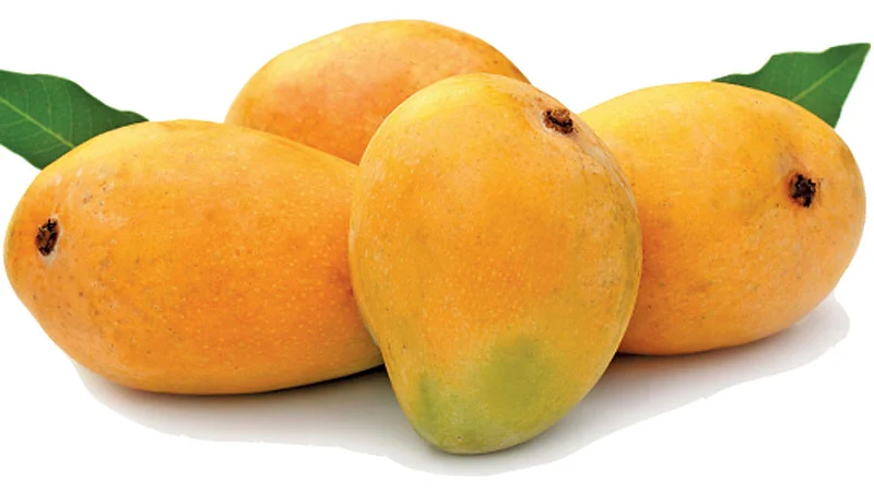 Hapus-Mango