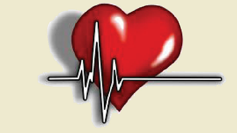 Heart