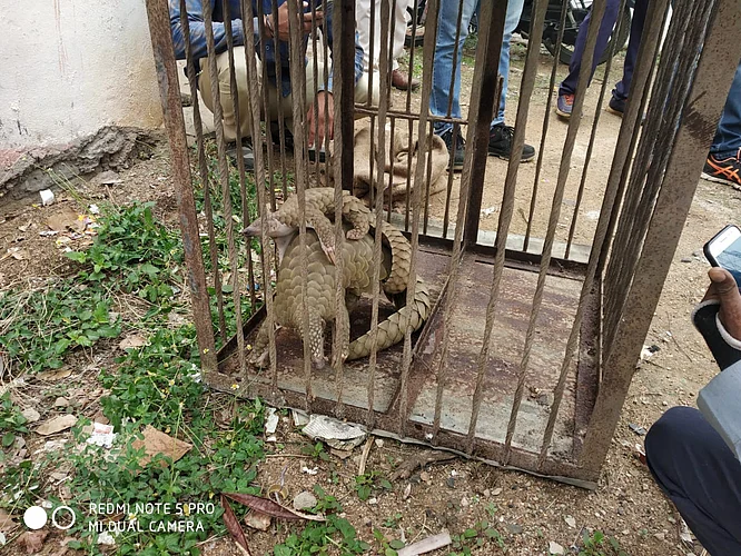 फोटो