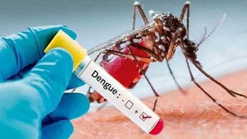 Increase in the number of dengue patients