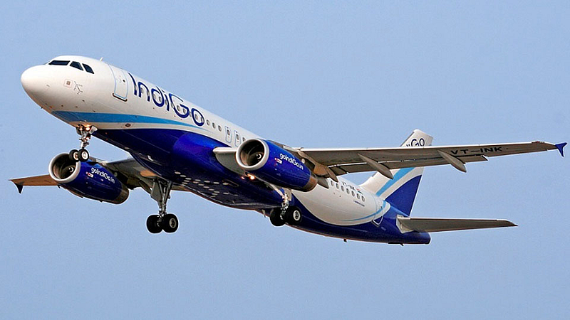 Indigo