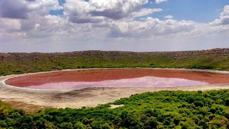 Lonar_Pink_Color