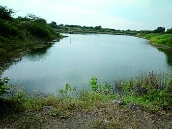 जलसाठ्यामुळे सावरपाडा परिसरात बहरू लागल्या फळबागा !