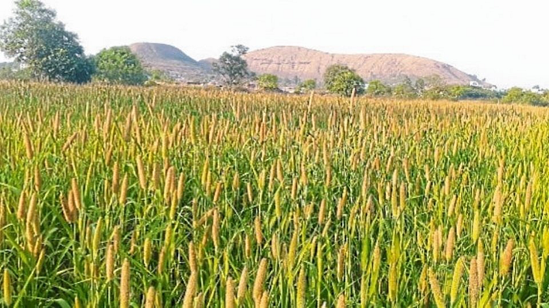 Agriculture