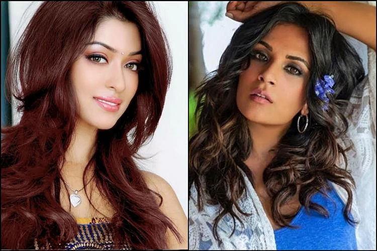Now Payal Ghosh Ready To Apologise Richa Chadha