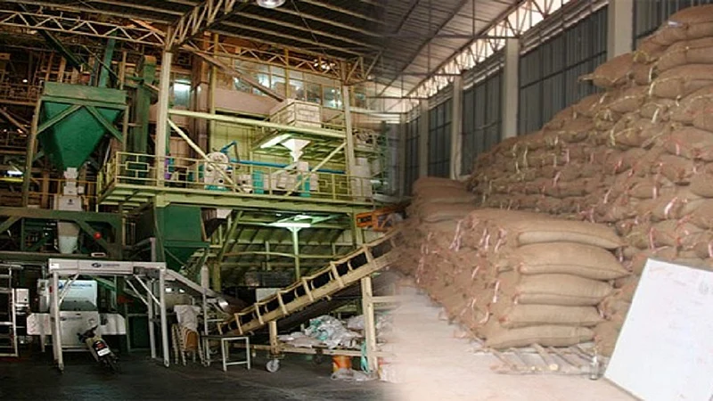 Rice millers not getting farmers to cut rice crops in Bhandara district