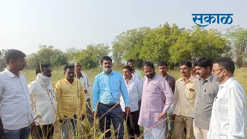Sakal