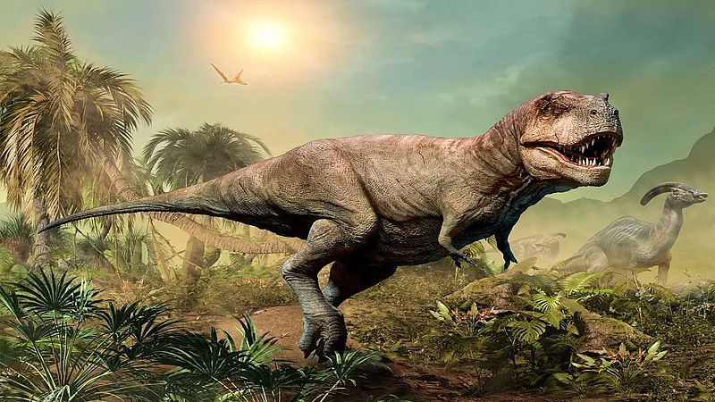 Dinosaurs used to give their eggs at Salburdi in amravati