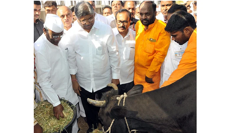 मागेल त्याला टँकर, मागेल त्याला चारा छावणी : चंद्रकांत पाटील