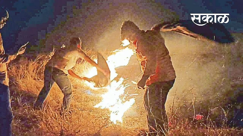The youth saved five hundred acres of forest fire in Bakori area}
