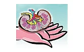 world kidney day Take care of kidneys strengthen body