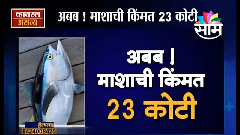 Viral Satya : अबब ! माशाची किंमत 23 कोटी ! (Video)