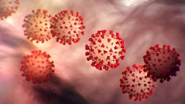CoronaVirus.