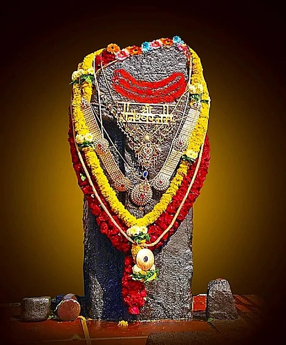 Large crowd of devotees for Shanidarshan