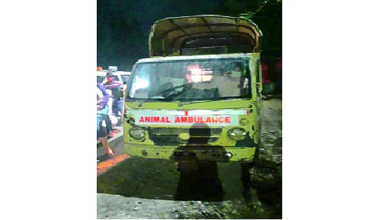 animal ambulance 123.png