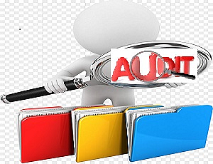 audit