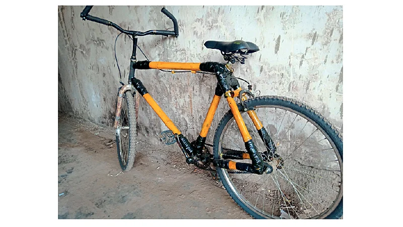एका अवलियाने बनवली बांबूपासून इकोफ्रेंडली सायकल