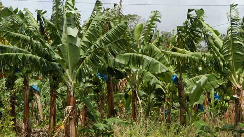 Akola News: There is nothing in the position by spending lakhs of rupees