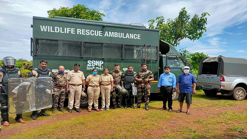 saturday attacked leapord found in ratnagiri rescue force catch a leopard