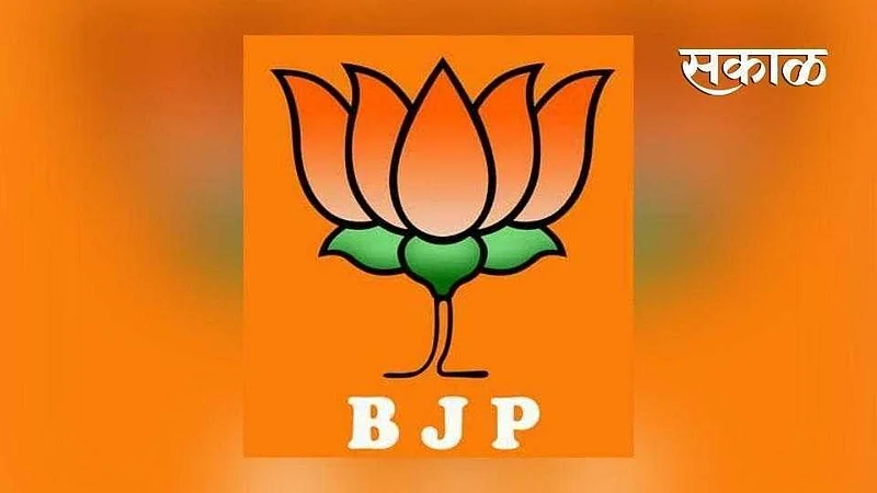 survey has revealed that the work of 80 percent corporators is not satisfactory in nagpur}