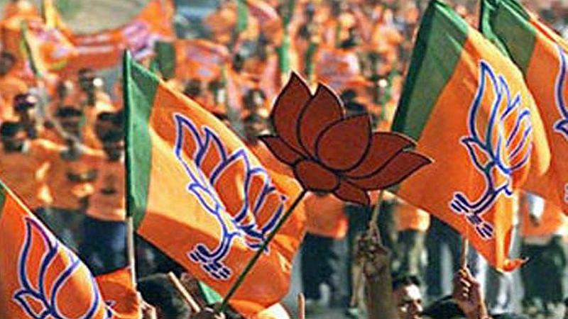 Election Results: देशात मोदीलाट असताना भाजपच्या 'या' उमेदवाराला केवळ 125 मते