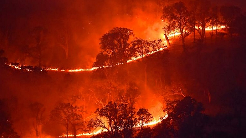 california fire