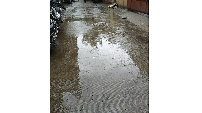 cement-rasta.jpg