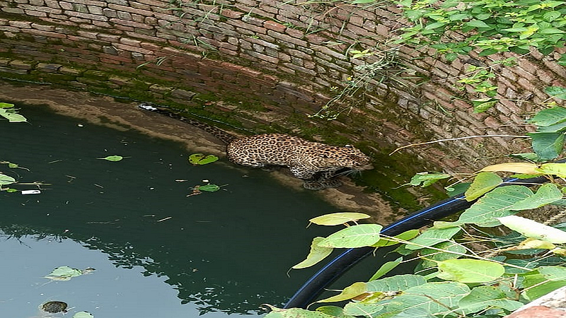 chadegaon.jpeg