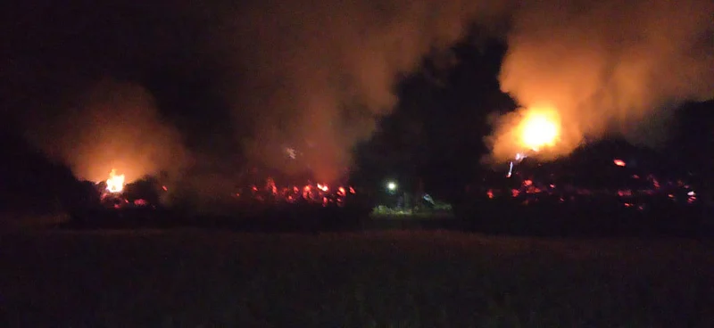 Burn one and a half quintals of paddy in Chandrapur district