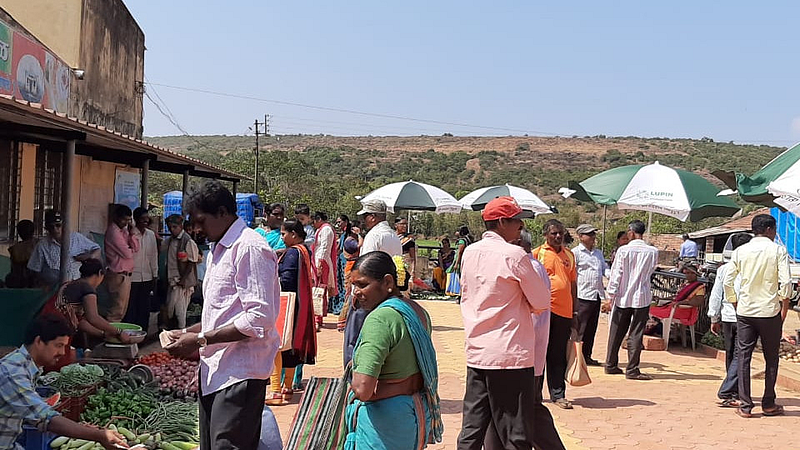 savantwadi chokul the market success in sindudurg kokan marathi news