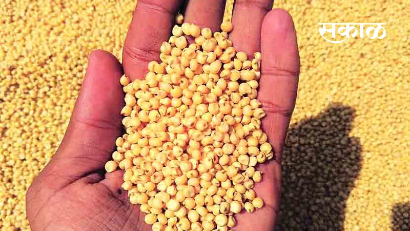 coarse grain will get in 1 rupees in yavatmal}