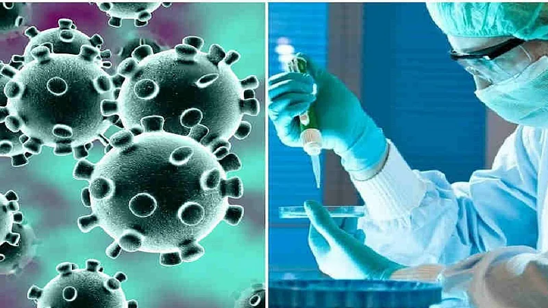 13 more corona patient found in ratnagir