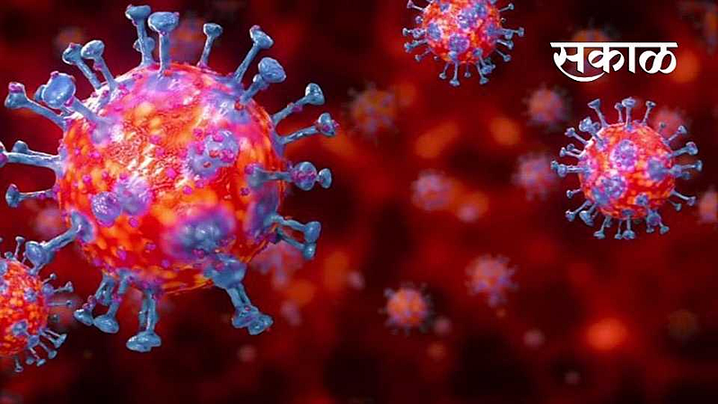 corona virus