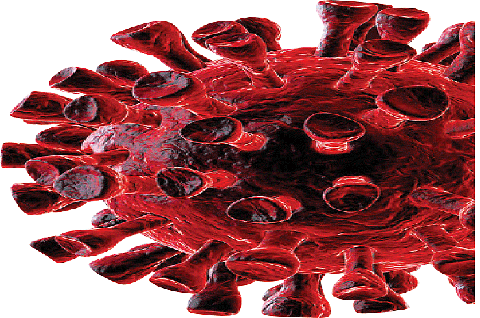 coronavirus impact kolhapur district kolhapur marathi news