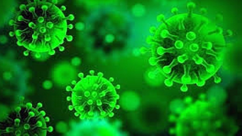 Hatkanangale Nagar Panchayat Chief infected with covid 19 and 4 member covid infected