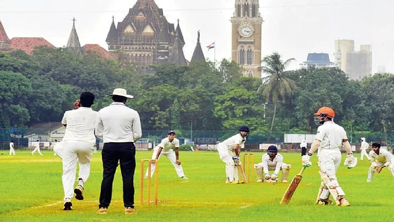 cricket