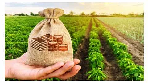crop insurance