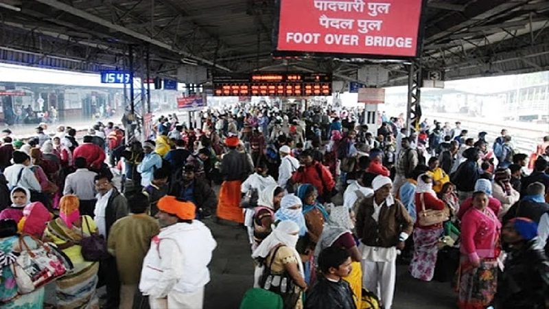 crowed.jpg