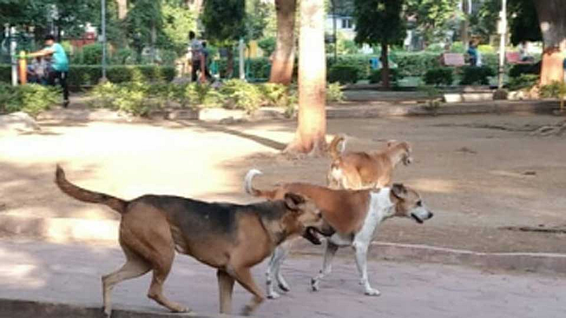 Kolhapur