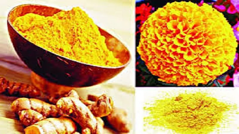 #Holi2020: घरच्या घरी 'असे' बनवा होळीचे रंग......