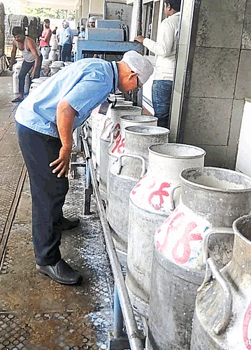 The quality of the milk is determined by the smell