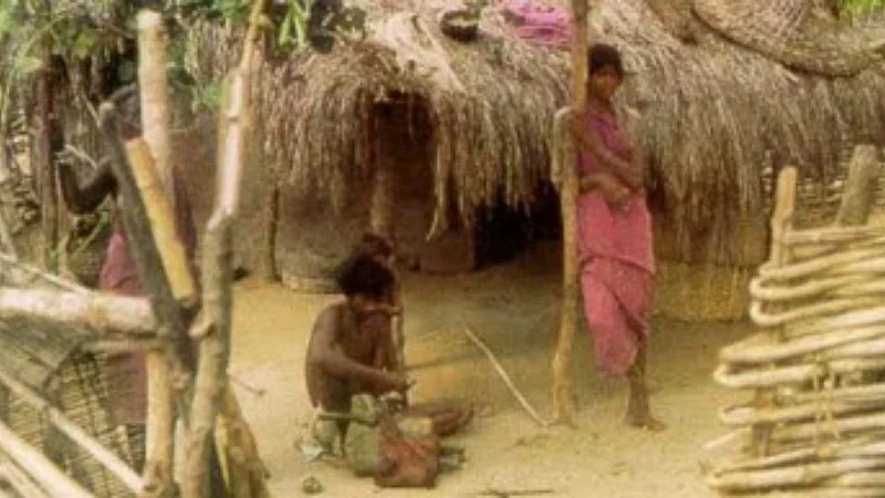 satpuda aadivasi pada