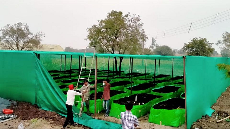 compost manure