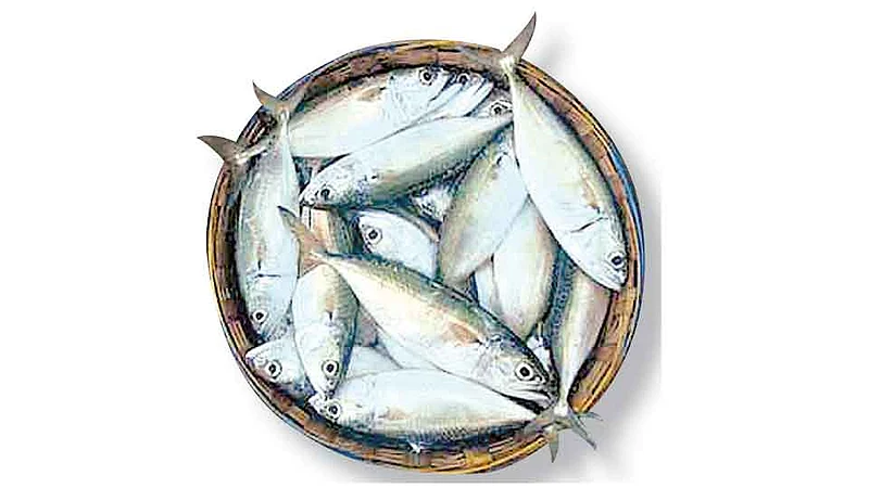 Fisher Drought Conference Organizers Demand For Women Sindhudurg Marathi News