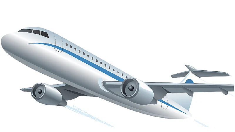 flight