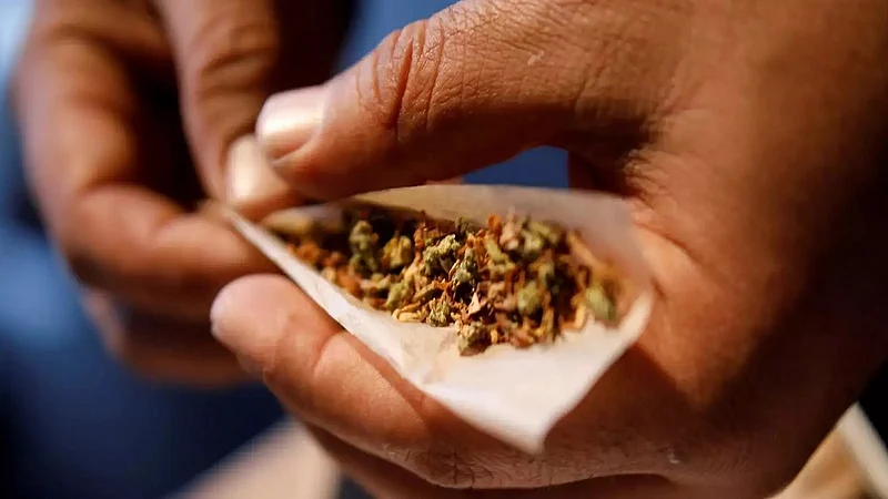 New gangs of cannabis addicts in Sangali