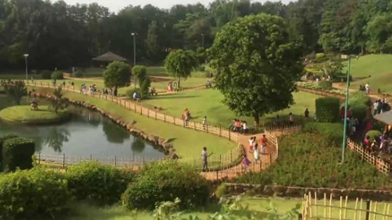 garden.jpg