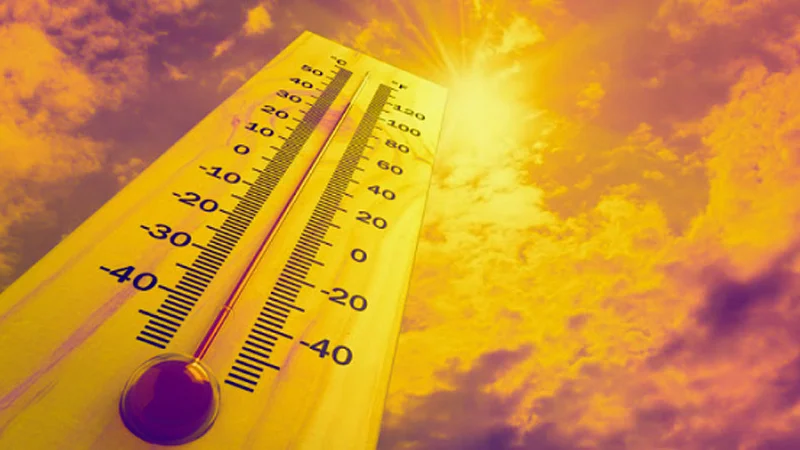 Heat Wave