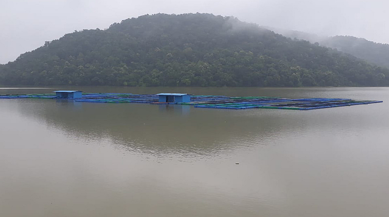 इटियाडोह धरणात केज कल्चर प्रोजेक्ट तयार करण्यात आला आहे.